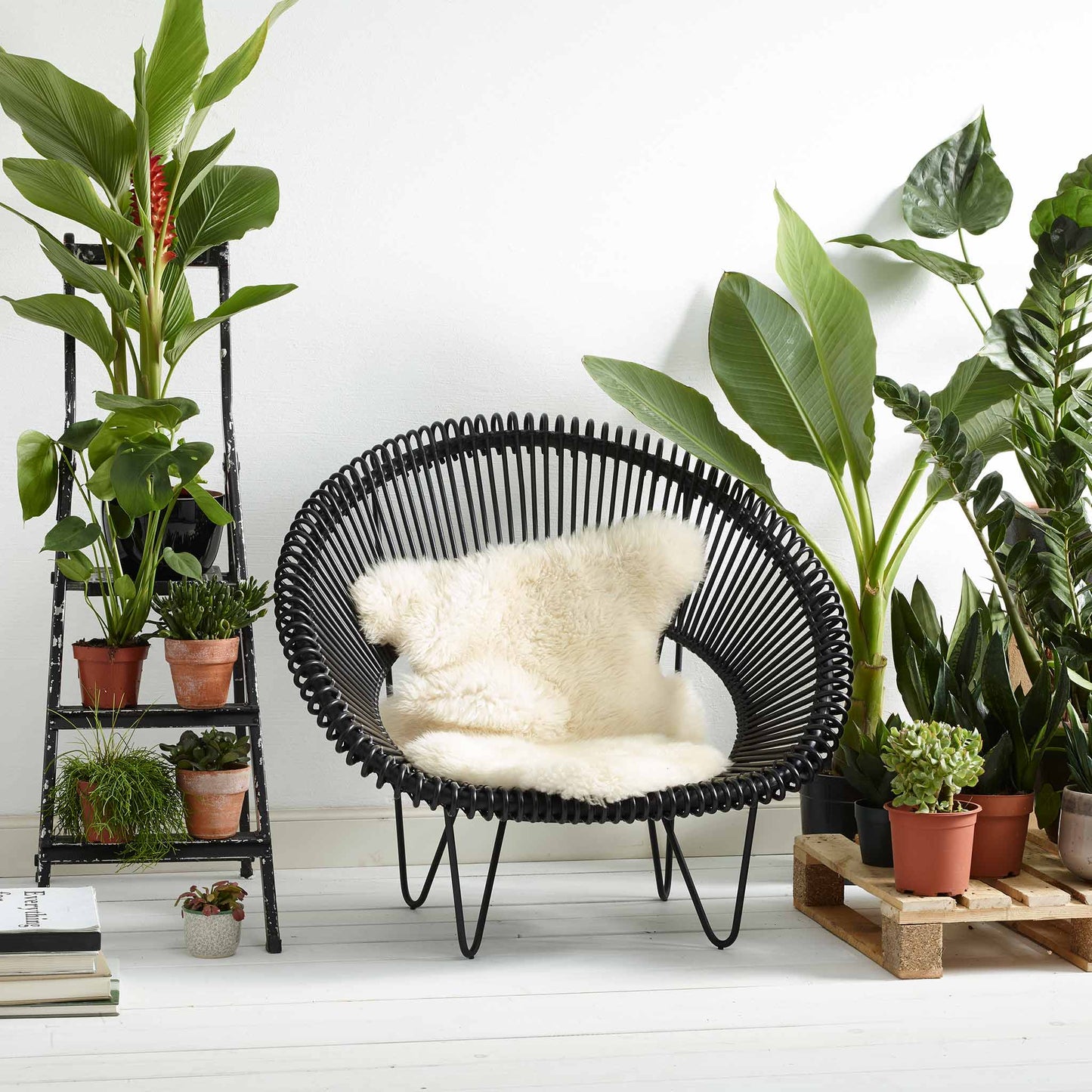 Rattan Armchair With Armrests Cruz Cocoon by Vincent Sheppard #Black Rattan / Black Steel