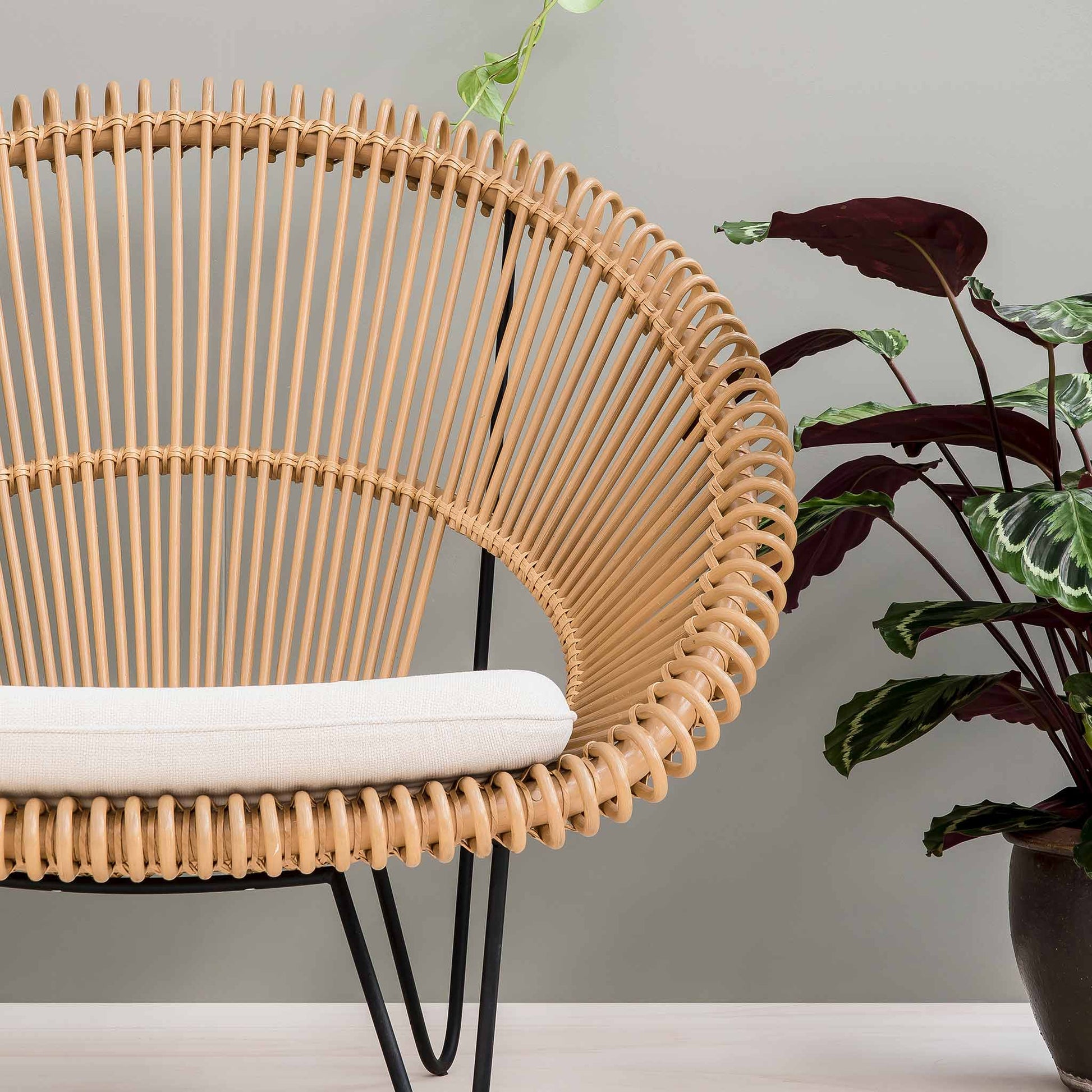 Rattan Armchair With Armrests Cruz Cocoon by Vincent Sheppard #Natural Rattan / Black Steel