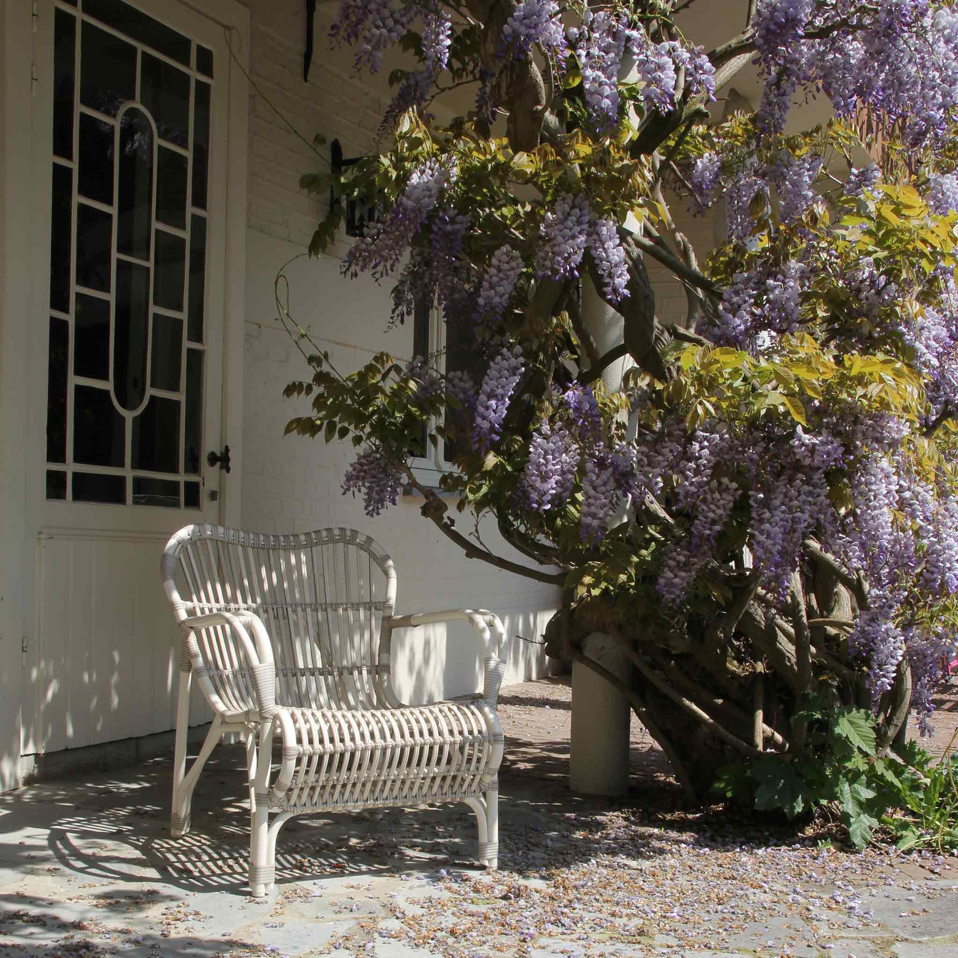 Wicker garden lazy armchair with armrests Lucy by Vincent Sheppard