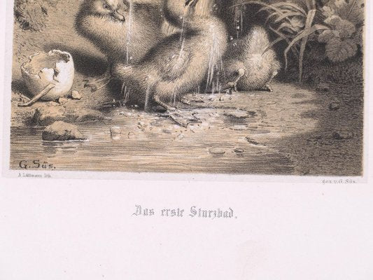 A Little Duckling - Original Lithograph - Late 19th Century Late 20th Century-ZCI-761855