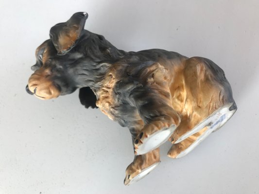 A Pottery Dog ​​from AK Kaiser-WQQ-1229242