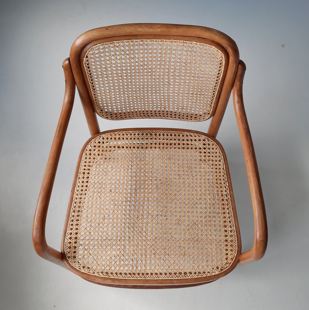 A61 F Armchair by Aldolf Schneck for Thonet, 1930s