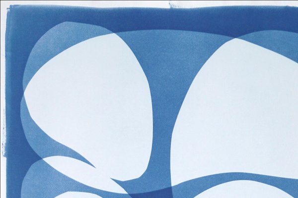 Abstract Rounded Type, 2022, Cyanotype-RWC-1263043