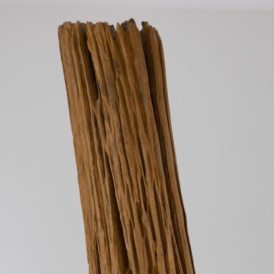 Abstract Sculpture, 1970s, Wood-SXX-1805798