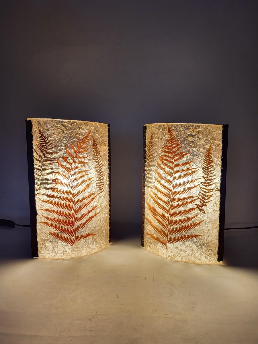 Accolay Resin and Inclusion Wall Lights, 1960s, Set of 2