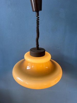 Acrylic Glass Herda Mid-Century 70s Vintage Lighting Pendant-ZBK-2022376