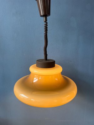 Acrylic Glass Herda Mid-Century 70s Vintage Lighting Pendant-ZBK-2022376