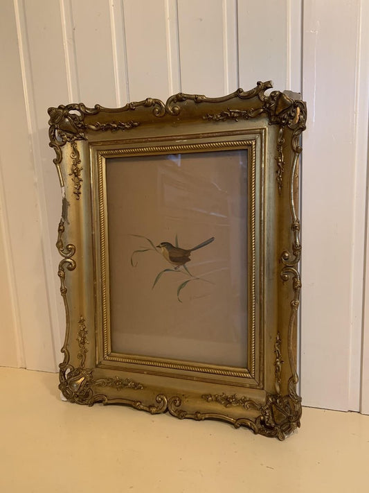 Adolphe Fourcaud, Bird on Branch, 18th Century, Watercolor, Framed