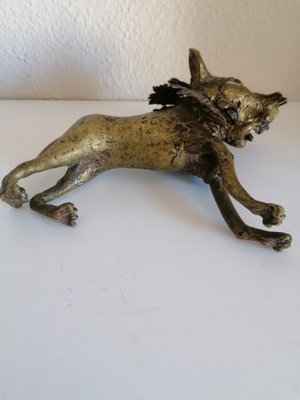 African Bronze Lion-LLP-1187740