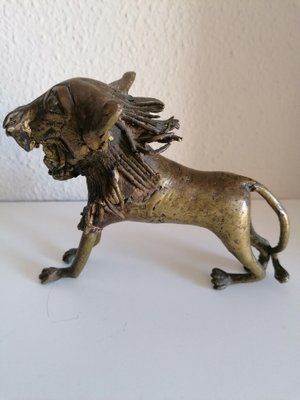 African Bronze Lion-LLP-1187740