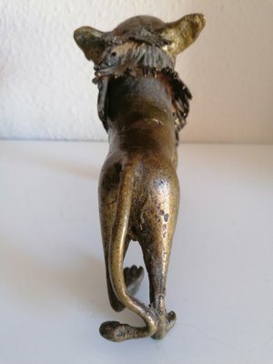 African Bronze Lion-LLP-1187740