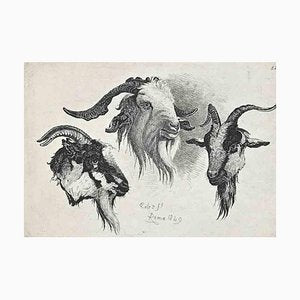 After Charles Coleman, Antelope in the Roman Countryside, Original Etching, 1992-ZCI-1379825