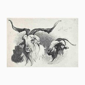 After Charles Coleman, Antelope in the Roman Countryside, Original Etching, 1992-ZCI-1379826