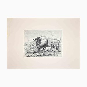 After Charles Coleman, Goats in the Roman Countryside, Reproduction Etching, 1992-ZCI-1379455