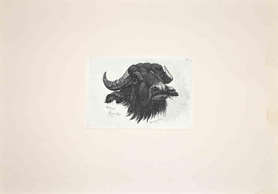 After Charles Coleman, The Buffalo, 1992, Original Etching-ZCI-1379758