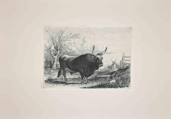 After Charles Coleman, The Bull in Roman Countryside, Original Etching, 1992-ZCI-1379479