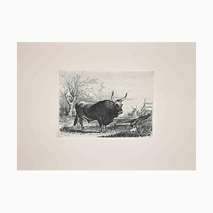 After Charles Coleman, The Bull in Roman Countryside, Original Etching, 1992-ZCI-1379479