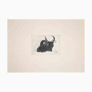 After Charles Coleman, The Bull in the Roman Countryside, Etching, 1992-ZCI-1379688