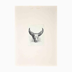 After Charles Coleman, The Bull's Skull, Original Etching, 1992-ZCI-1379704