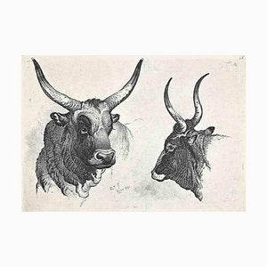 After Charles Coleman, The Bulls in the Roman Countryside, Original Etching, 1992-ZCI-1379829