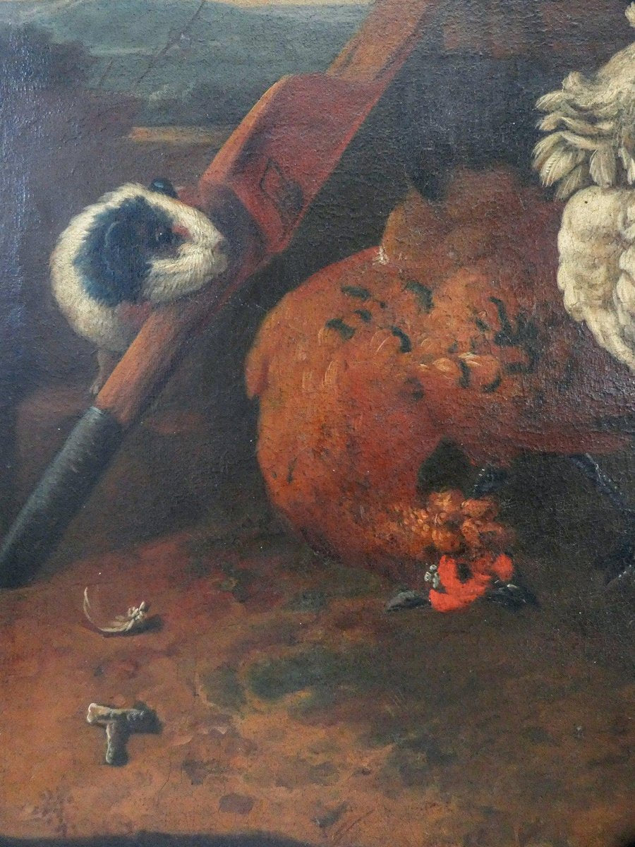 After Melchior De Hondecoeter, Still Life with Rooster, 1600s, Oil on Canvas