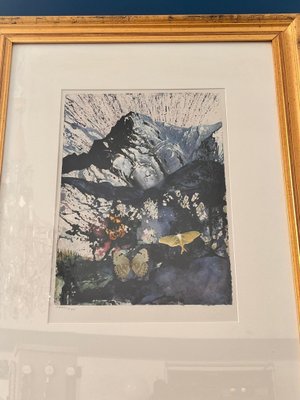 After Salvador Dali, Alpes, 1969, Lithograph, 1960s, Framed-SEI-1407353