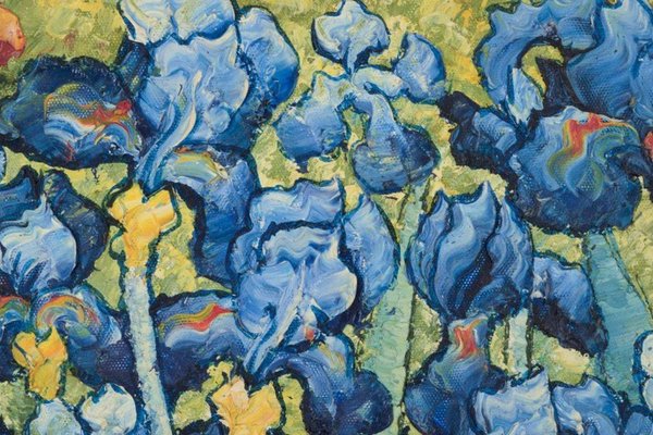 After Van Gogh, Irises, Oil on Canvas-AR-2034087