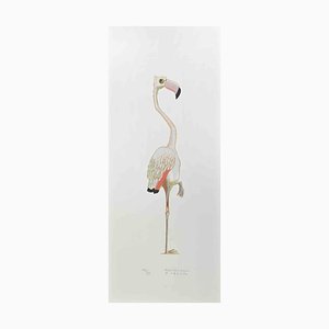 Alberto Mastroianni, Flamingo, Lithograph, 1970s-ZCI-2025096