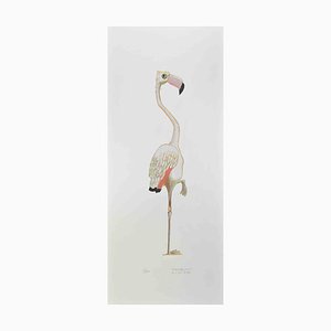 Alberto Mastroianni, Flamingo, Lithograph, 1970s-ZCI-2025094