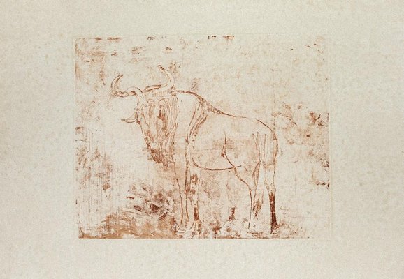 Aldo Pagliacci - Buffalo - Etching on Paper - 1971-ZCI-872286