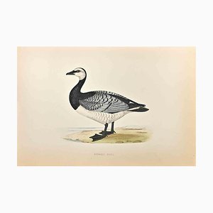 Alexander Francis Lydon, Bernicle Goose, Woodcut Print, 1870-ZCI-1759071