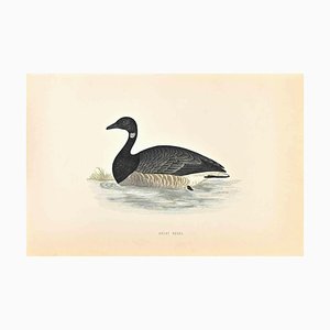 Alexander Francis Lydon, Brent Goose, Woodcut Print, 1870-ZCI-1759070