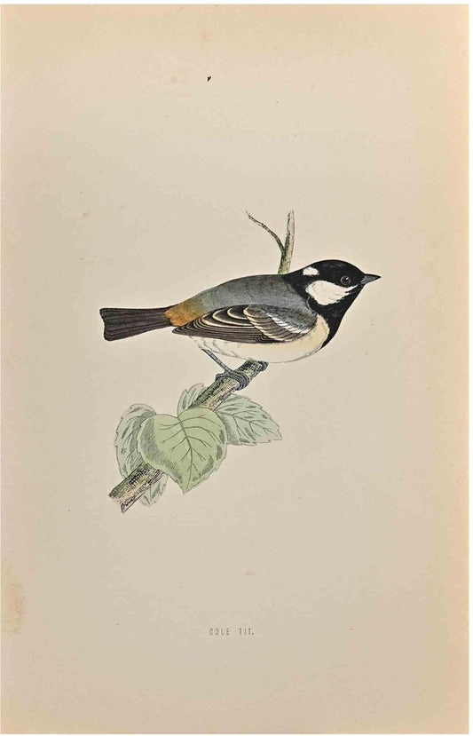 Alexander Francis Lydon, Cole Tit, Woodcut Print, 1870