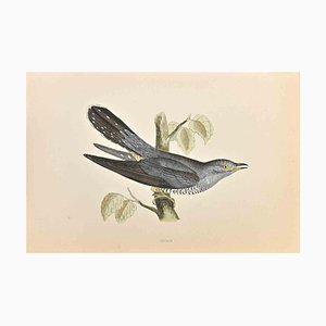 Alexander Francis Lydon, Cuckoo, Woodcut Print, 1870-ZCI-1759077