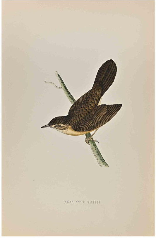 Alexander Francis Lydon, Grasshopper Warbler, Woodcut Print, 1870