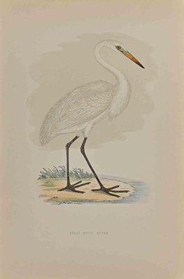 Alexander Francis Lydon, Great White Heron, Original Woodcut Print, 1870-ZCI-1354875