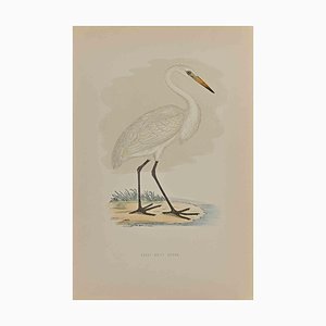 Alexander Francis Lydon, Great White Heron, Original Woodcut Print, 1870-ZCI-1354875