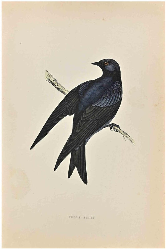 Alexander Francis Lydon, Purple Martin, Woodcut Print, 1870