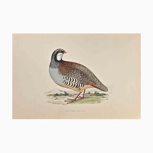 Alexander Francis Lydon, Red-Legged Patridge, Woodcut Print, 1870-ZCI-1758934