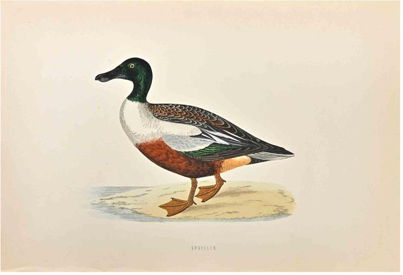 Alexander Francis Lydon, Shoveler, Woodcut Print, 1870-ZCI-1759093