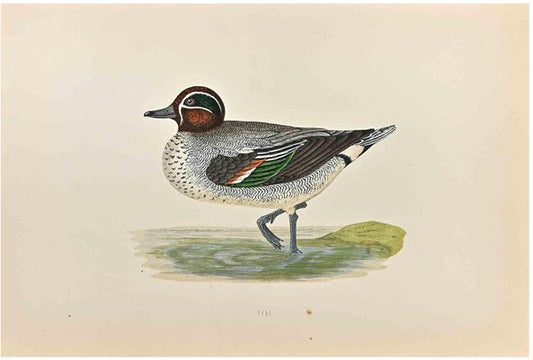 Alexander Francis Lydon, Teal, Woodcut Print, 1870