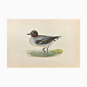 Alexander Francis Lydon, Teal, Woodcut Print, 1870-ZCI-1759078