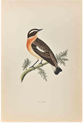 Alexander Francis Lydon, Winchat, Woodcut Print, 1870-ZCI-1758935