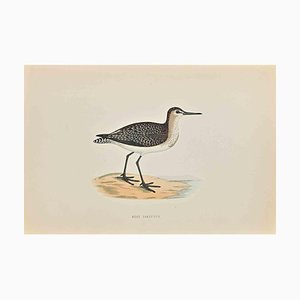 Alexander Francis Lydon, Wood Sandpiper, Woodcut Print, 1870-ZCI-1758992