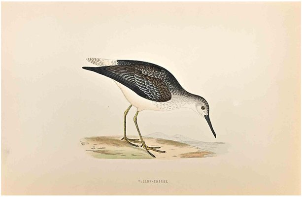 Alexander Francis Lydon, Yellow-Shanks, Woodcut Print, 1870-ZCI-1758996