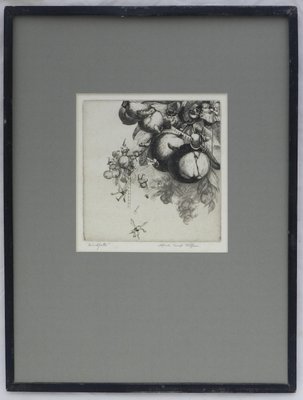 Alfred Kemp Wiffen, Windfalls, 1930s, Engraving-ARU-1113533