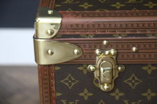 Alzer 80 Suitcase from Louis Vuitton-YF-1786623