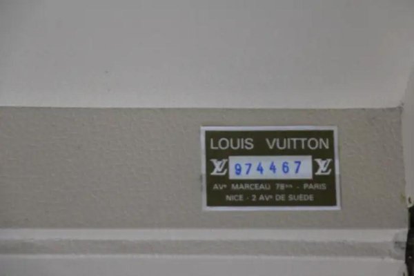 Alzer 80 Suitcase from Louis Vuitton-YF-1786623