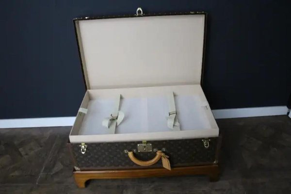 Alzer 80 Suitcase from Louis Vuitton-YF-1786623