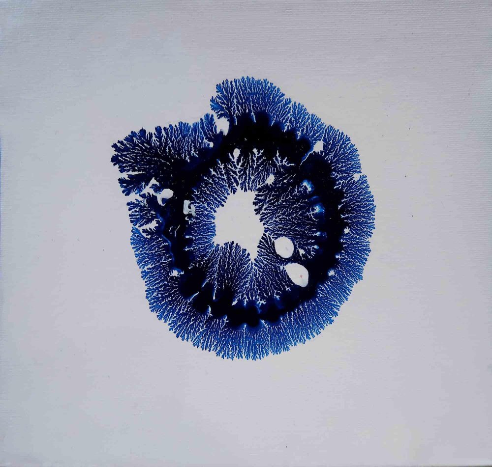 Amanda Ludovisi, Blue Life, Acrylic Painting, 2020s